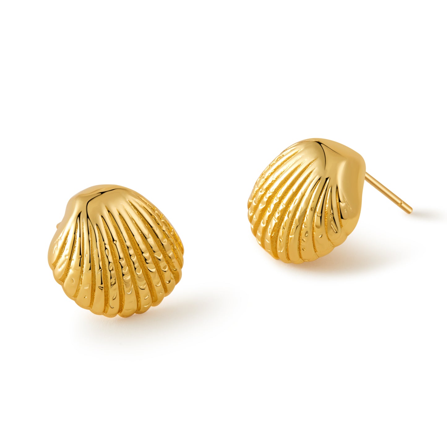 「Seashell」Stud Earrings