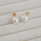 「Aurora」Akoya Pearl Stud Earrings