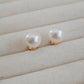 「Aurora」Akoya Pearl Stud Earrings