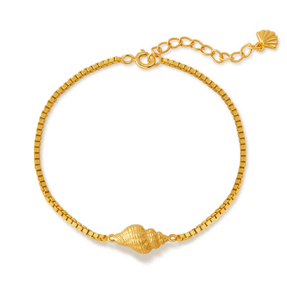 「Golden Conch」Bracelet