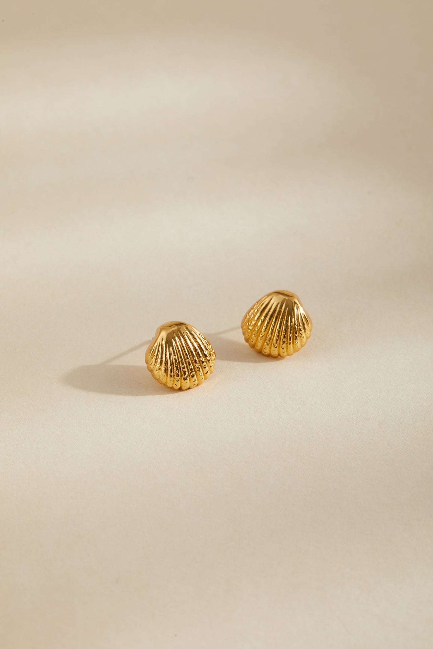 「Seashell」Stud Earrings