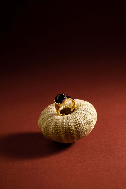 Black onyx ring with gold band displayed on textured surface against rich brown background.