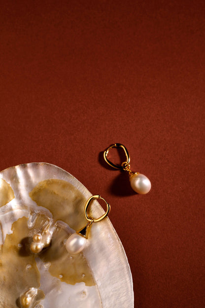 SUIHE Jewelry Dewdrop Freshwater Pearl Earrings on shell, gold-plated sterling silver, elegant statement jewelry, organic design