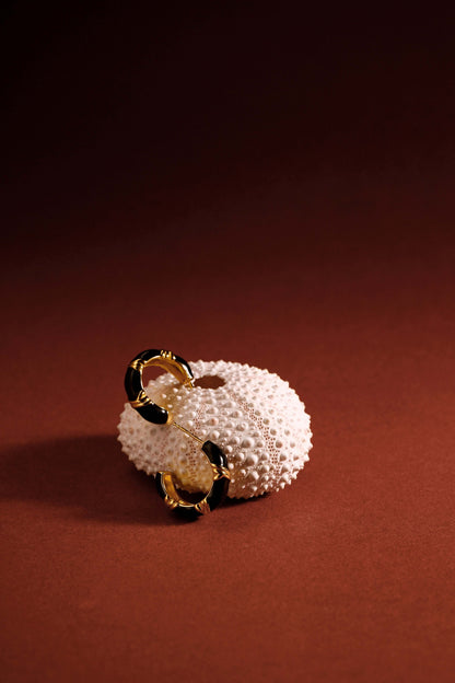 Gold and black hoop earrings styled on a textured white sea urchin against a warm brown background.