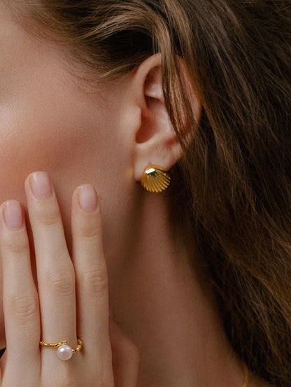 「Seashell」Stud Earrings